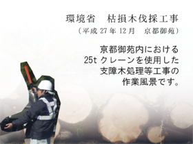 環境省 枯損木伐採工事